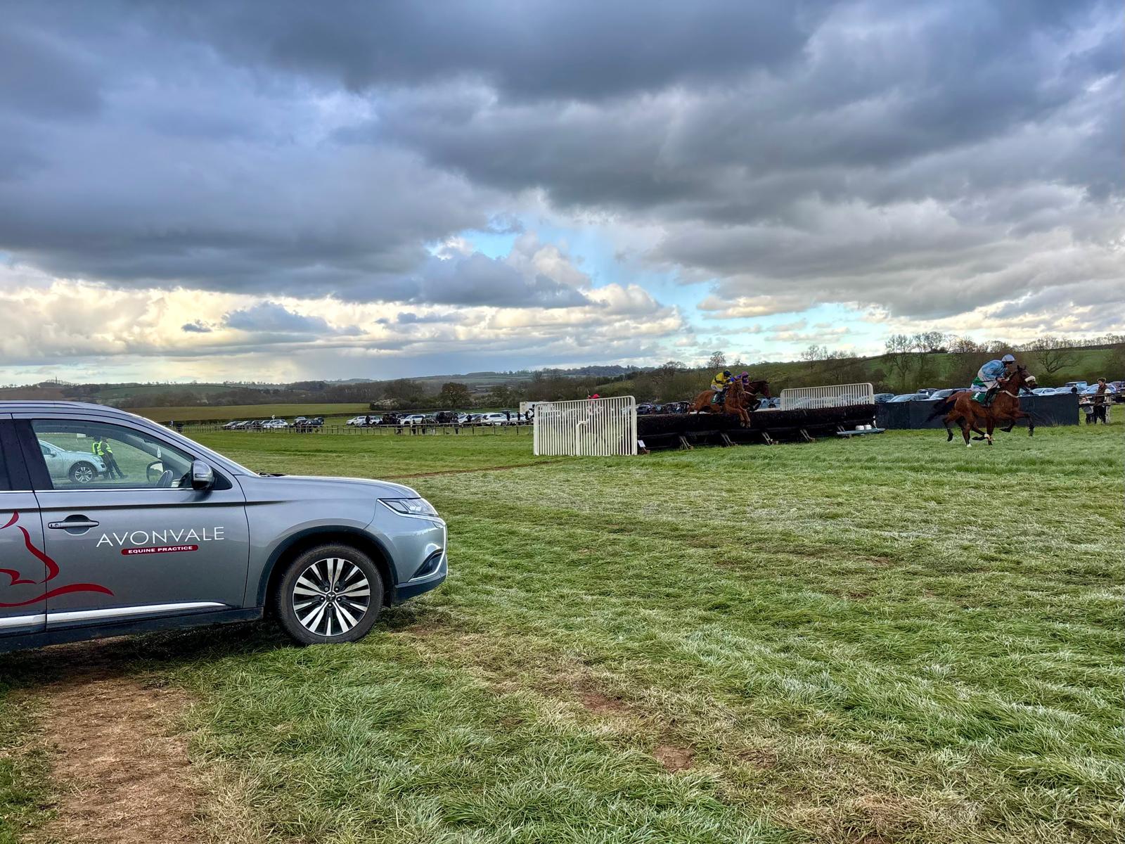 Equine Performance Medicine